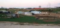 Bedouin village